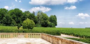 Les vins de l’Yonne : vignoble, production et dégustation