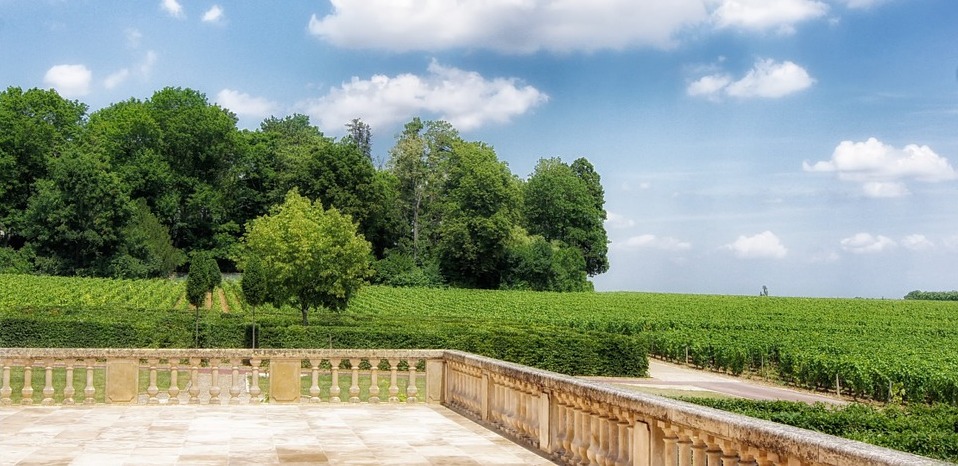 Terroir-Artisan - Les vins de l’Yonne : vignoble, production et dégustation