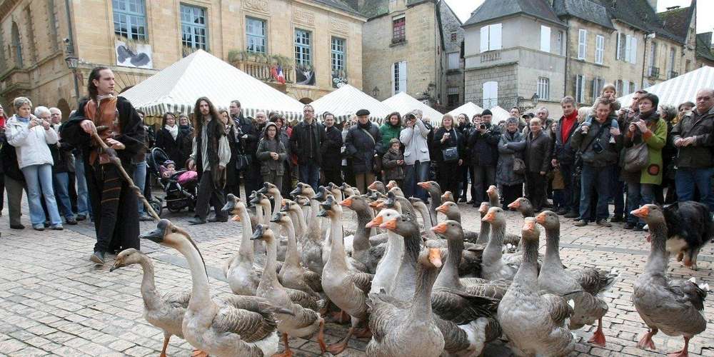 Terroir-Artisan - Sarlat Fest’Oie. On y était