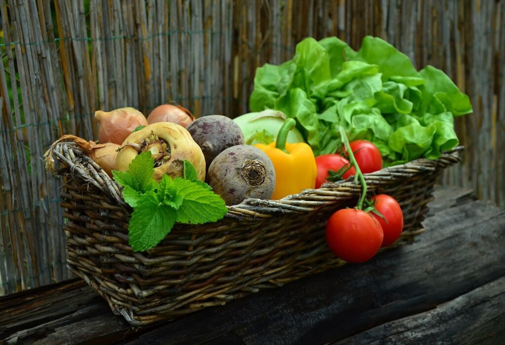 Terroir-Artisan - La production végétale en France