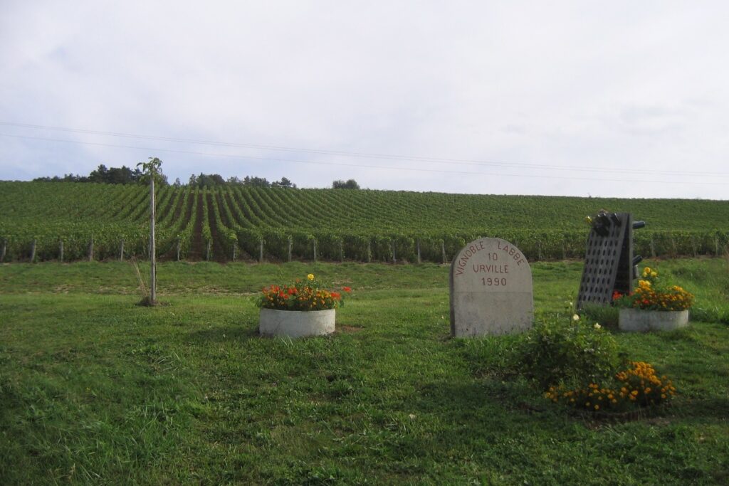 Terroir-Artisan - Champagne Labbé