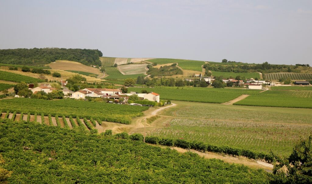 Terroir-Artisan - Présentation des vins charentais