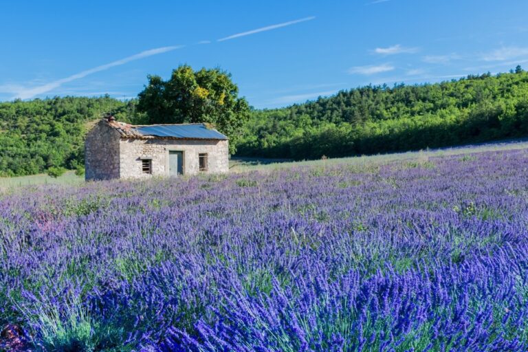 Terroir-Artisan - La cosmétique se fait bio… Terroir-Artisan - La cosmétique se fait bio…