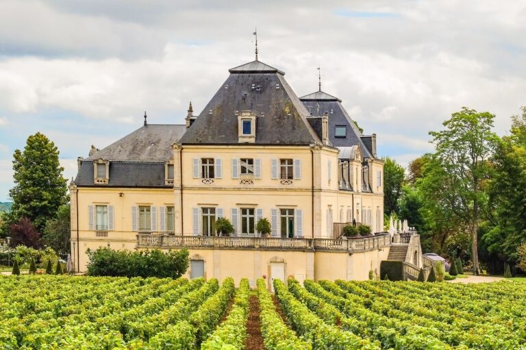 Terroir-Artisan - Le vignoble de Bourgogne, la tradition de la qualité Terroir-Artisan - Le vignoble de Bourgogne, la tradition de la qualité