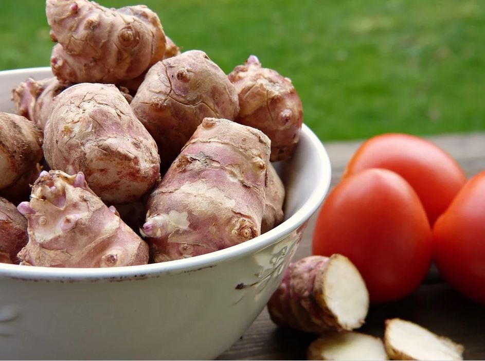 Terroir-Artisan - Un légume ancien de retour, le topinambour