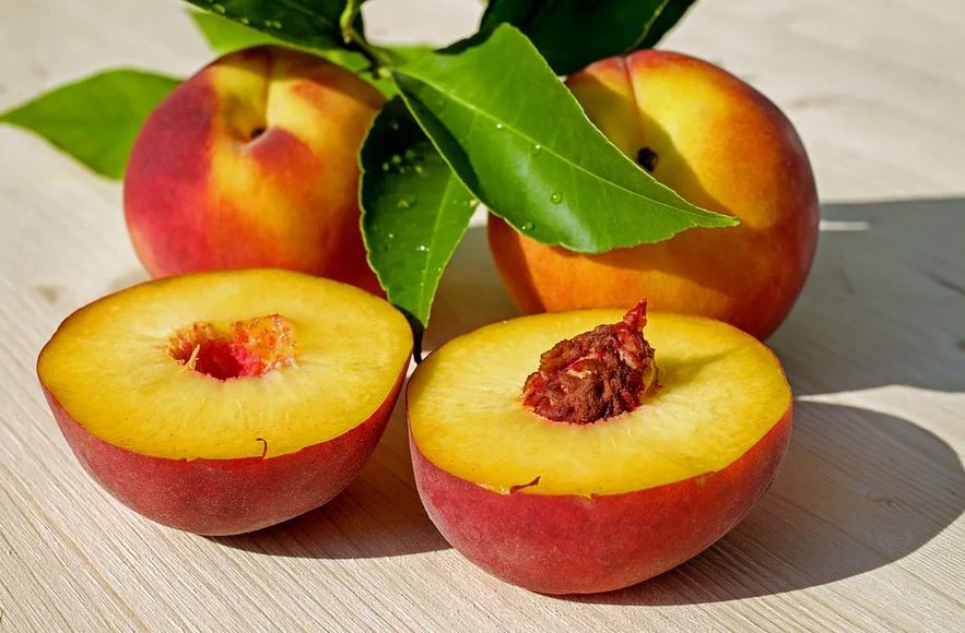 Terroir-Artisan - Les Fruits de saison, son origine, son histoire