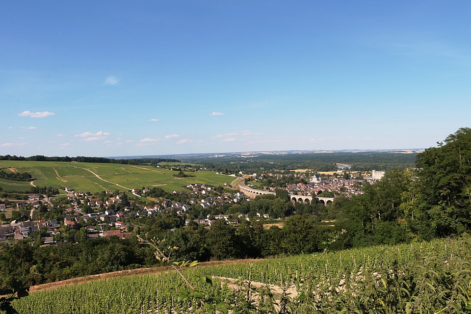 Terroir-Artisan - L’appellation Sancerre, son origine, son histoire