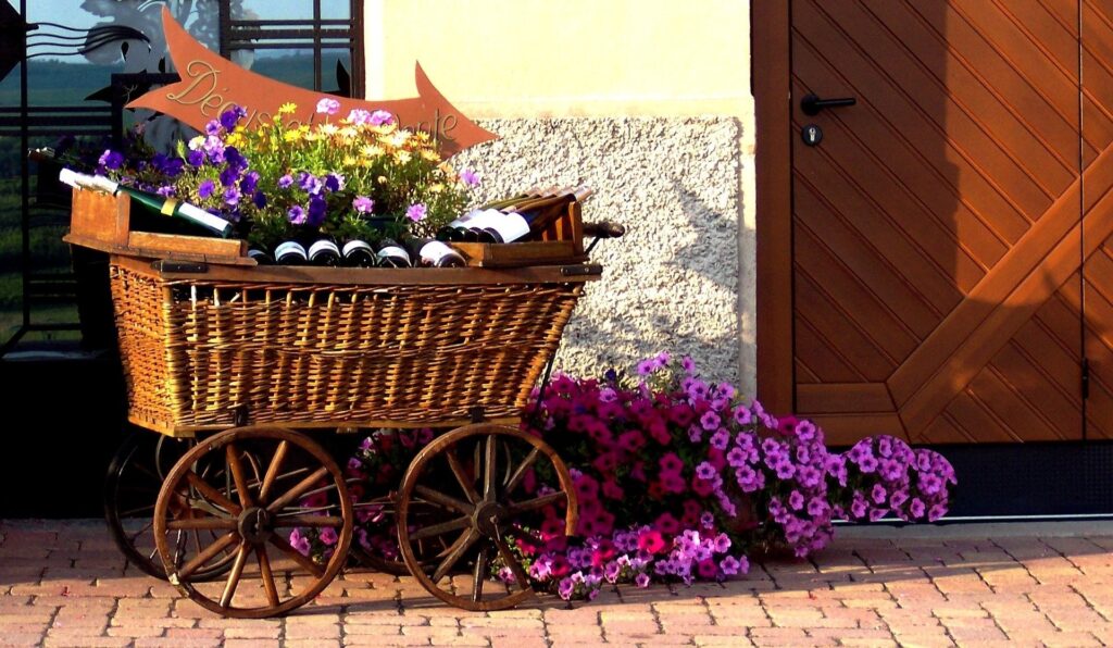 Terroir-Artisan - Présentation des vins d’Alsace