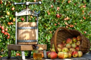 Le cidre artisanal, le nouveau rendez-vous apéro
