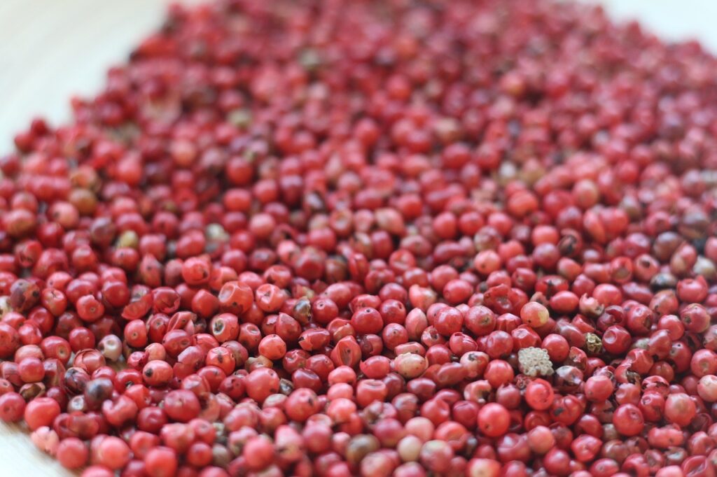 Terroir-Artisan - Le poivre en France, son origine, son histoire