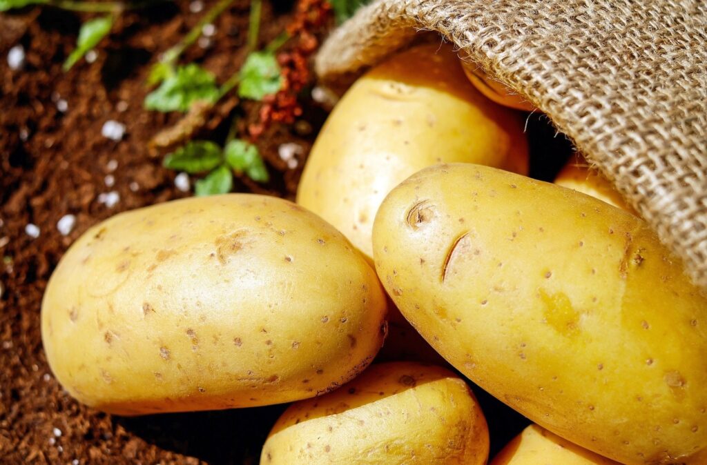 Terroir-Artisan - La pomme de terre en Hauts-de-France