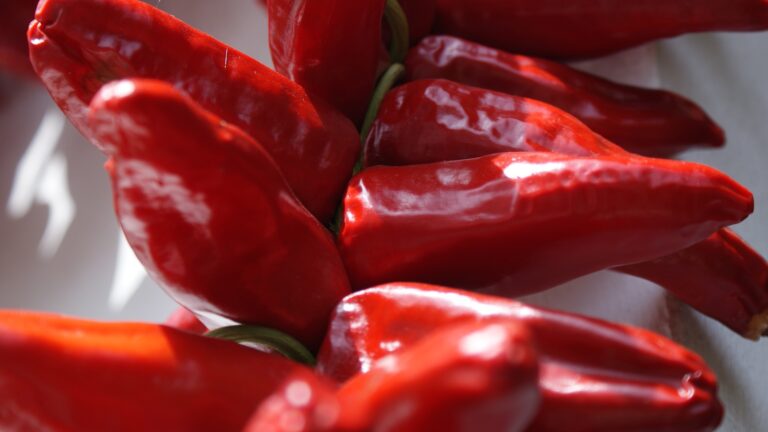 Terroir-Artisan - Le piment d’Espelette, véritable trésor du terroir basque Terroir-Artisan - Le piment d’Espelette, véritable trésor du terroir basque