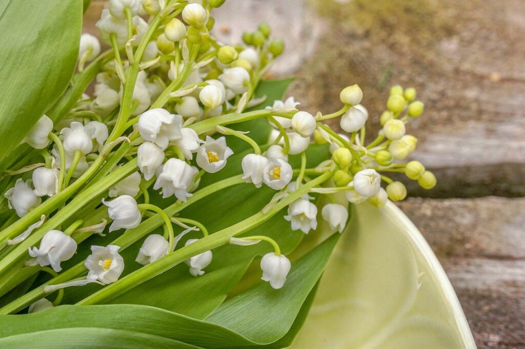 Terroir-Artisan - Le 1er mai, la fête du muguet