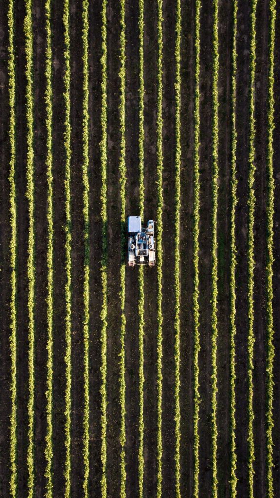 Terroir-Artisan - Tendances agricoles : comment le secteur se réinvente-t-il ?