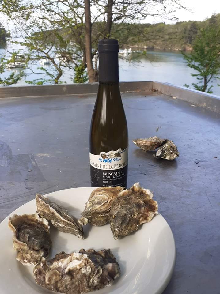 Terroir-Artisan - Domaine de l