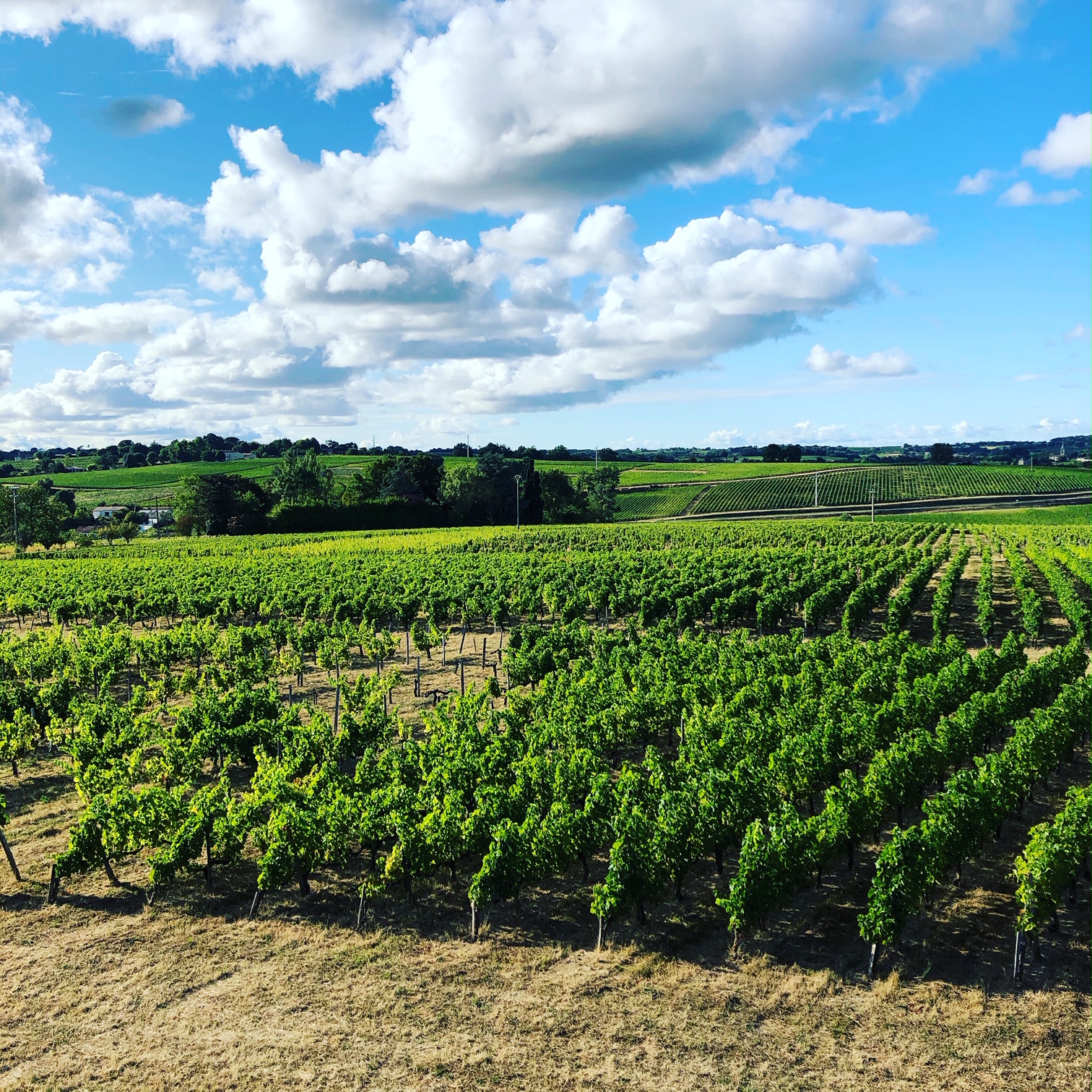 Terroir-Artisan - Château Lagrange - Galerie artisan