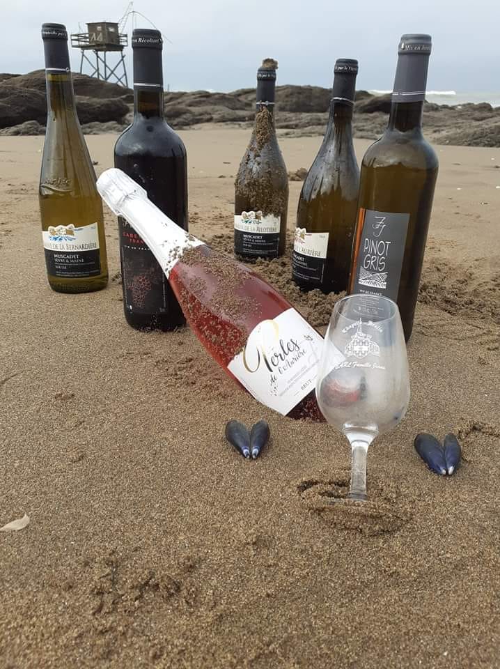 Terroir-Artisan - Domaine de l