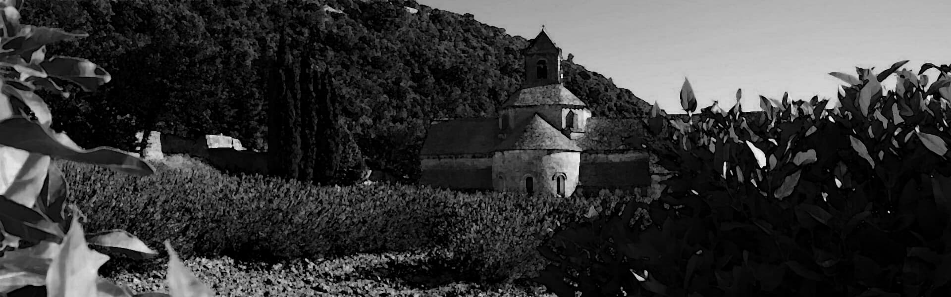 Terroir-Artisan - Region - Huile d’olive de Provence : zoom sur la récolte et la vinification