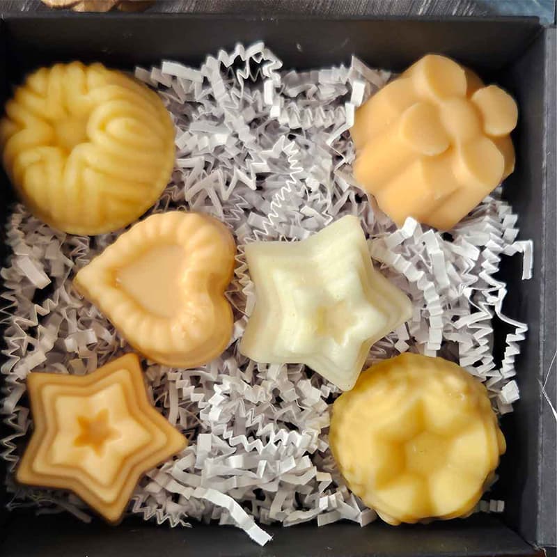 GD'Sens lot de fondants cire d'abeille et cire de colza