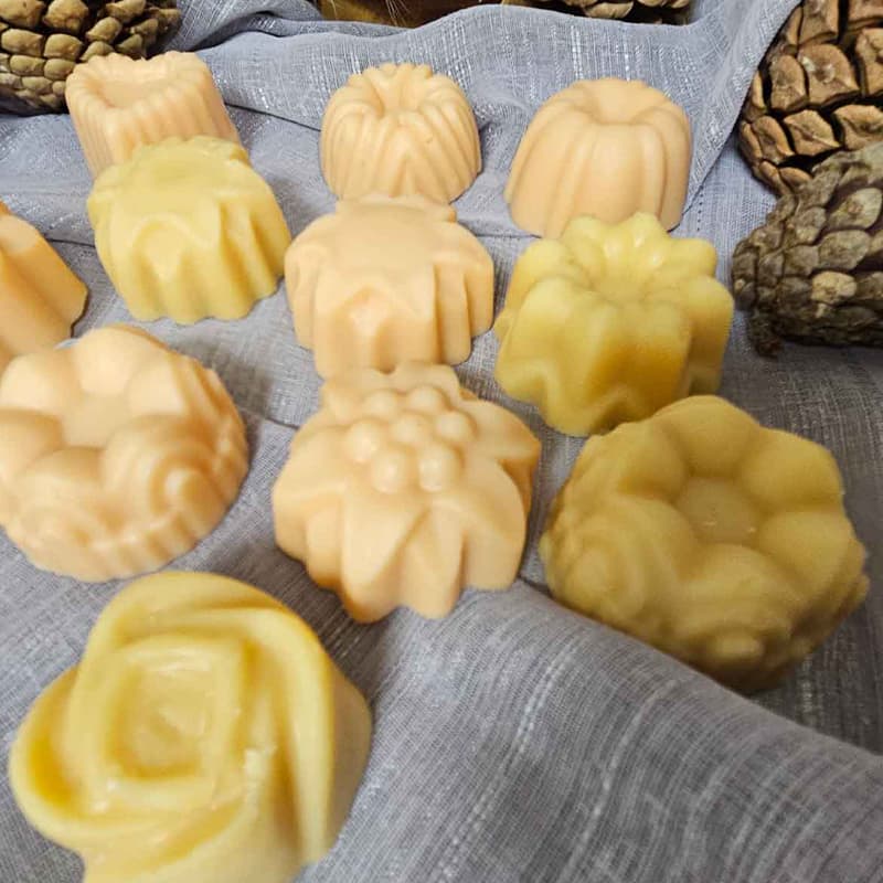 GD'Sens lot de fondants cire d'abeille et cire de colza2