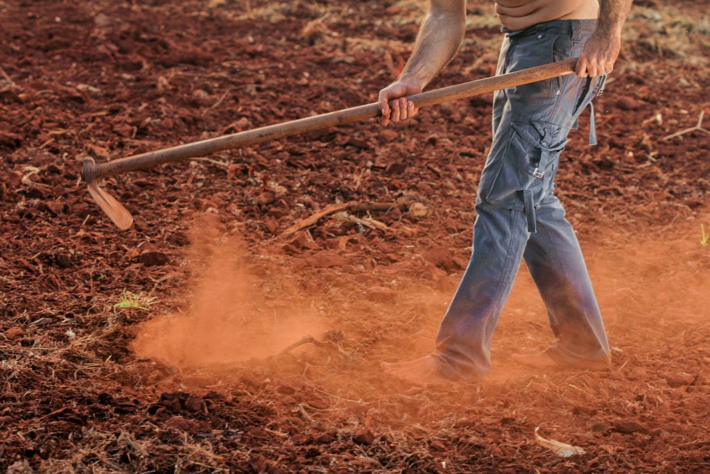 Terroir-Artisan - On vous dit tout sur les fermes permacoles !