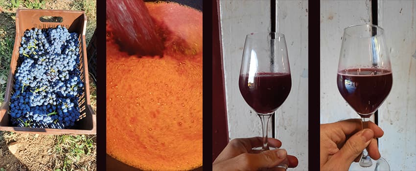 Terroir-Artisan - Le Clot du Benou - Galerie artisan