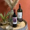 Terroir-Artisan Vignobles Bibian château Lagrave Cissan Haut Médoc 2