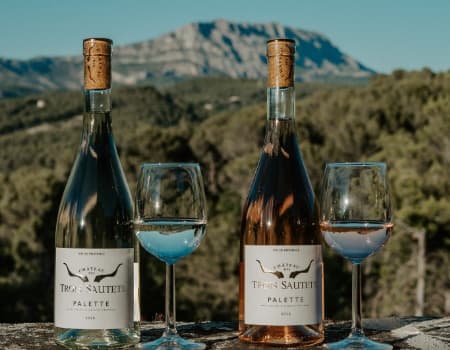 Terroir-Artisan - Le Vin Emoi - Vins & Spiriteux - Galerie artisan