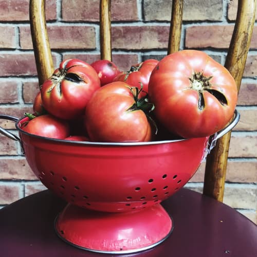 Terroir-Artisan - Sauce tomate – Rikoboko - galerie Terroir-Artisan - Sauce tomate – Rikoboko - galerie