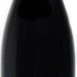 Bourgueil Domaine De La Lande Bio 2022 37.5 CL