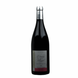 Saint Nicolas Bourgueil Domaine De La Lande Bio 2021 37.5CL