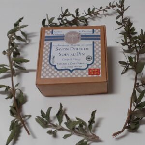 Savon doux de soin Boisé au Pin