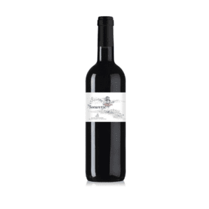 Sœurette – AOC Saint-Émilion