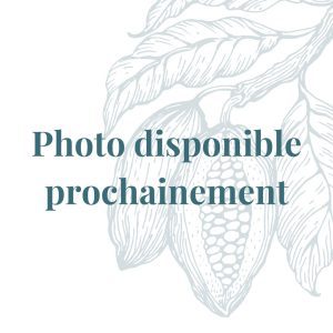 Gingembrette au chocolat noir 66 % – 200 g