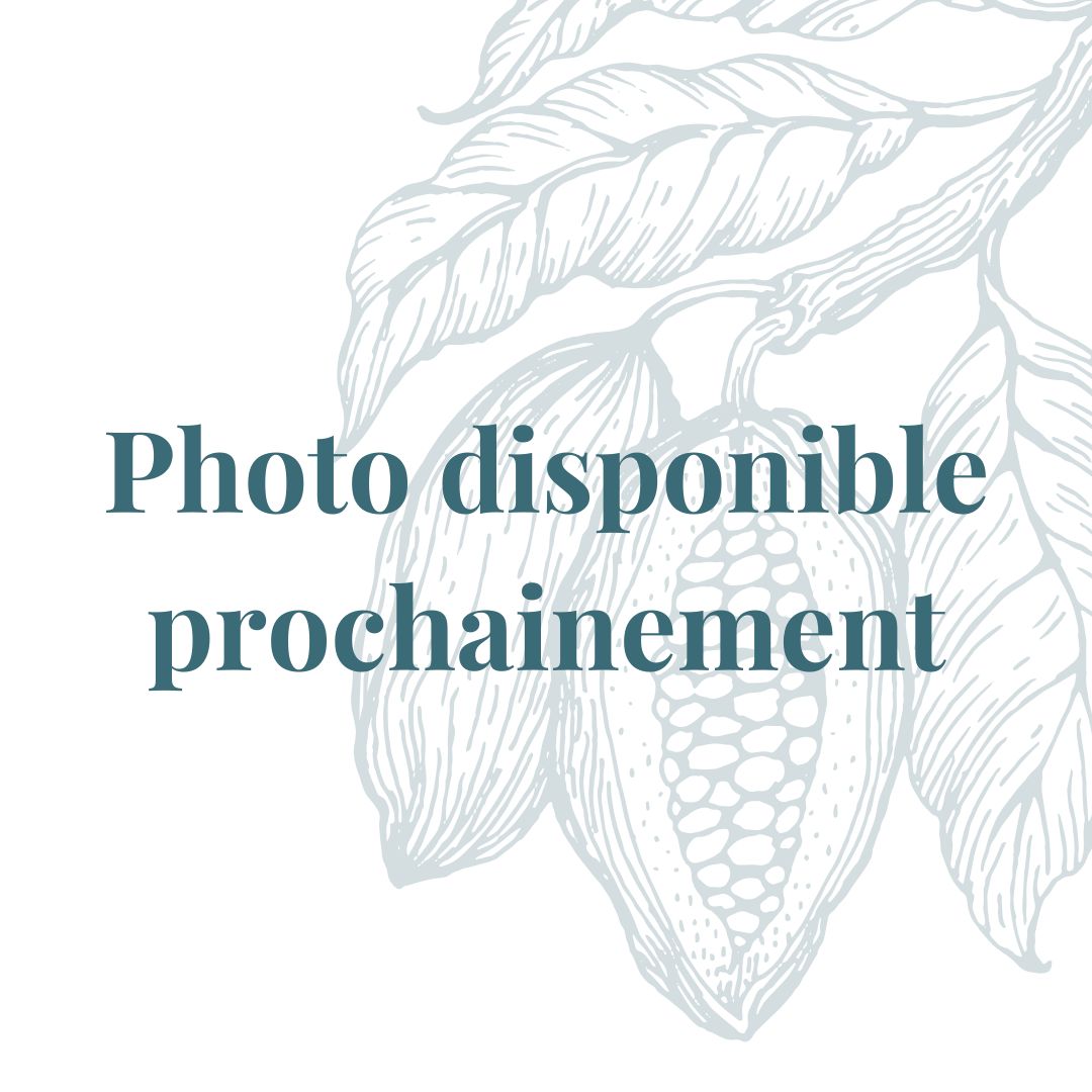 Gingembrette au chocolat noir 66 % – 200 g