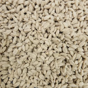 Les Risonis 5 kg – Pâtes artisanales du Vexin