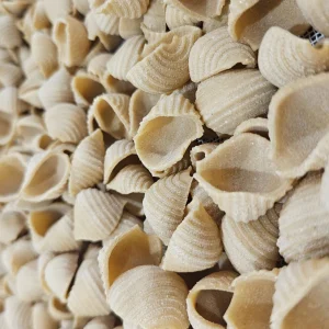 Les Conchiglies N°172 5 kg – Pâtes artisanales du Vexin